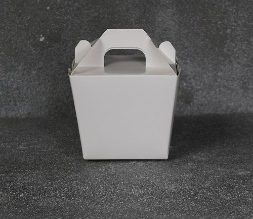 Micro Food Pail with Handle