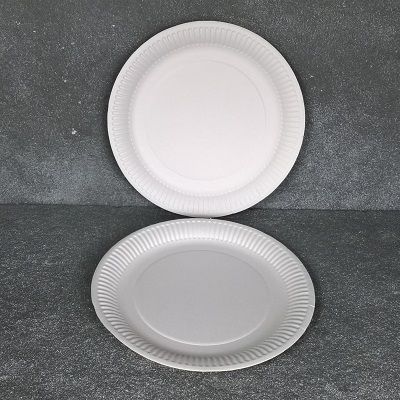 Essentials Paper Plate