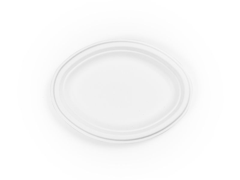 Bagasse Plate