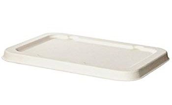 Bagasse Tray