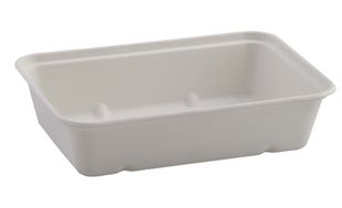 Bagasse Tray